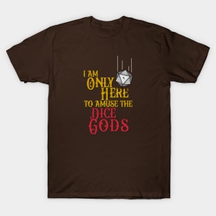 Amusing the Dice Gods T-Shirt